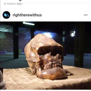 Meet your Posher, Samuel